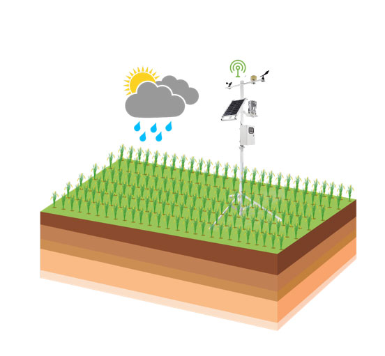 農業物聯網四情監測系統 農業物聯網四情監測系統