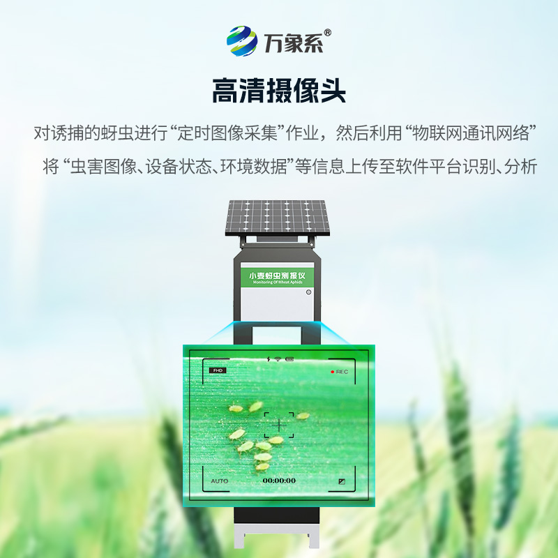 小麥蚜蟲在線監(jiān)測系統(tǒng),小麥病害防治的利器之一