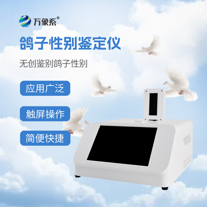 鴿子性別測定儀：鴿子屆“性別偵探”